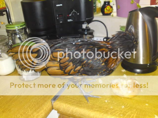DSC01200.jpg