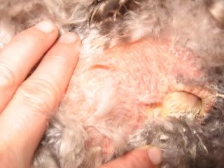 100_1279.jpg