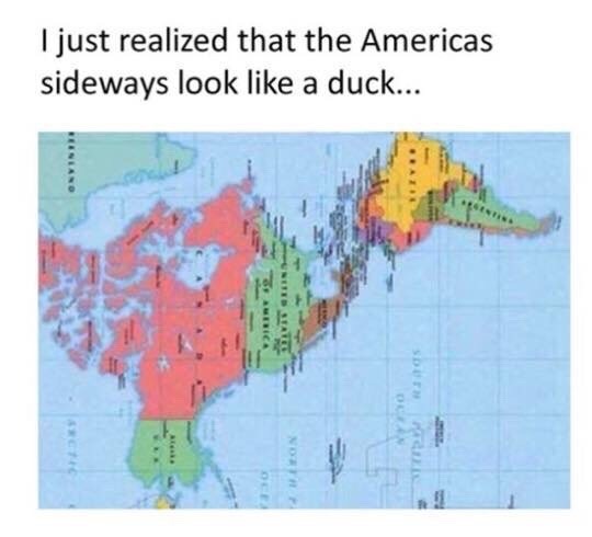 tumblr_nsjo5wwYHJ1rhpn4yo1_540.jpg