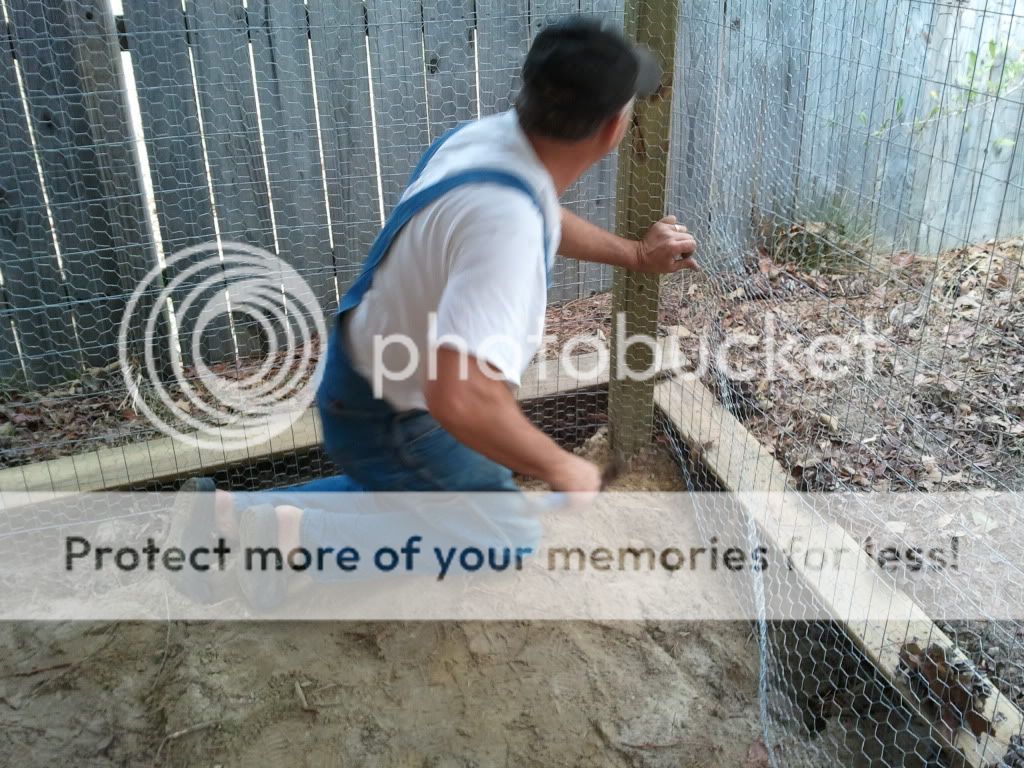 2011-03-05140044.jpg