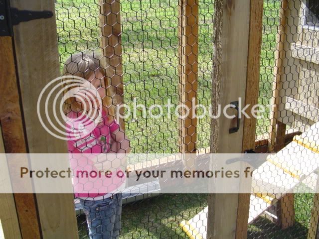 DSC03000.jpg