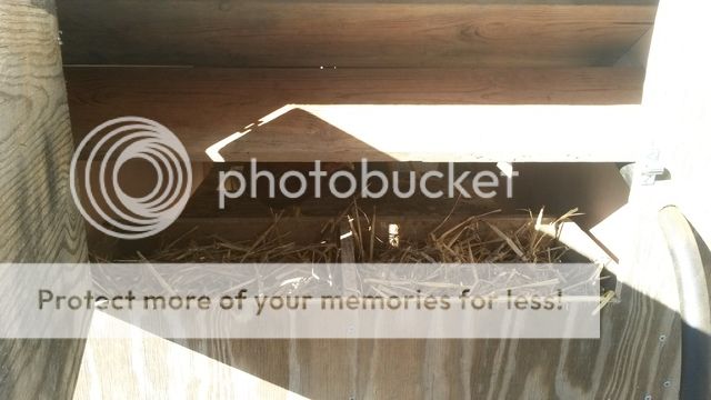 20160323_164004.jpg