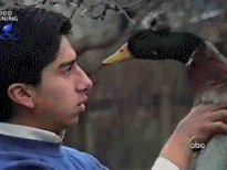 tumblr_mueytx1tMB1qewacoo9_r1_250.gif