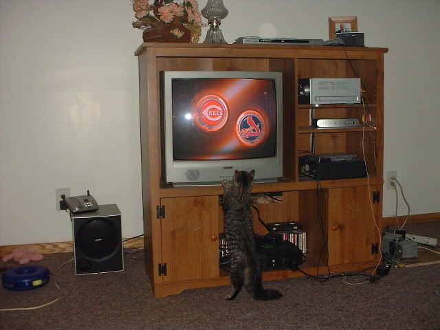 DSCF0001-1.jpg