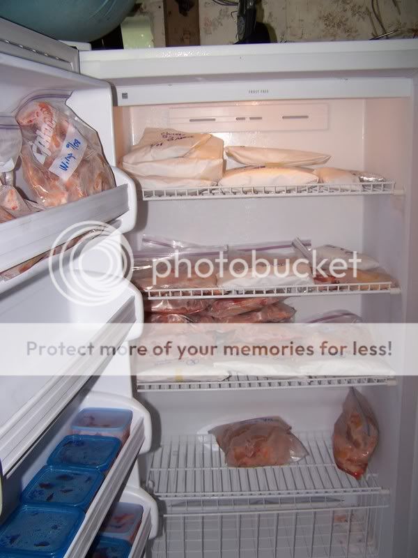 100_6766.jpg