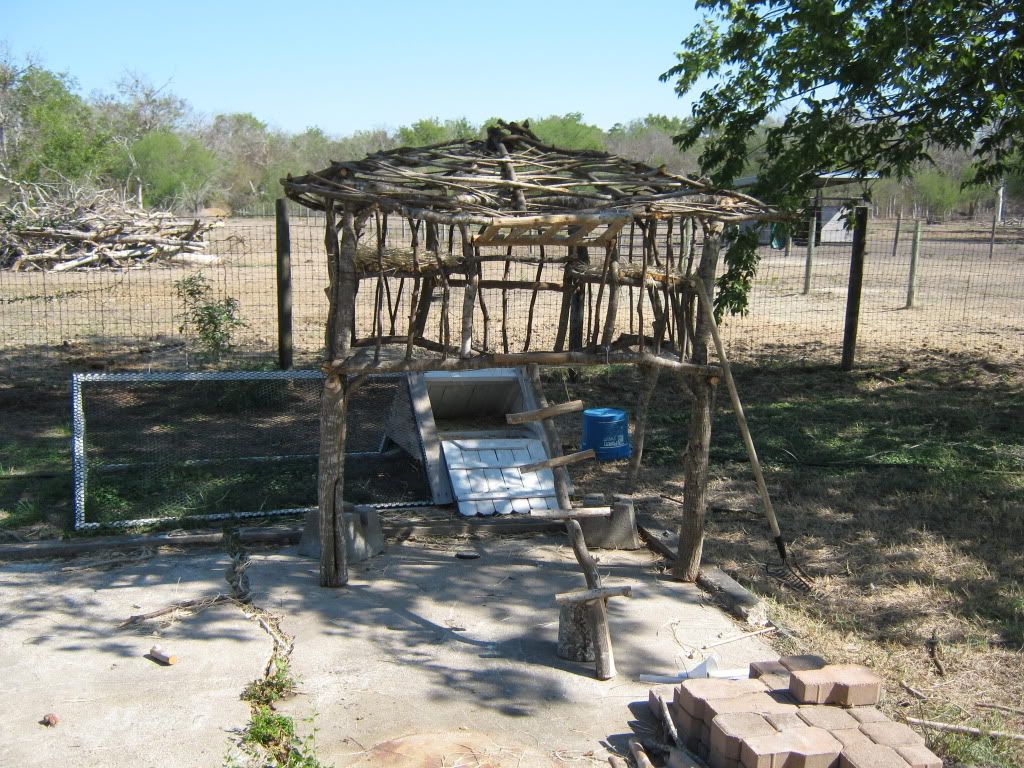 IMG_0814.jpg