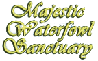 Majestic%20logo.gif