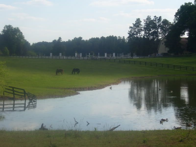 BeautifulDay5-25-08028.jpg