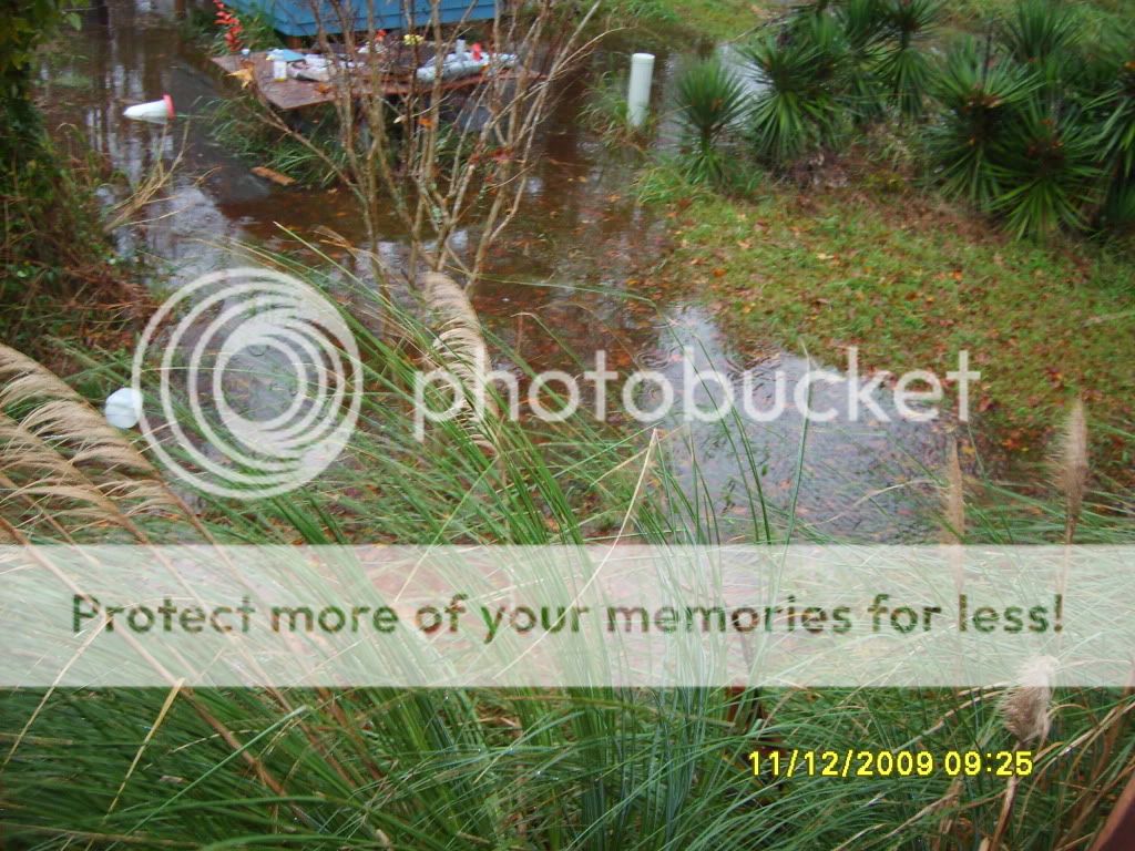 flood029.jpg
