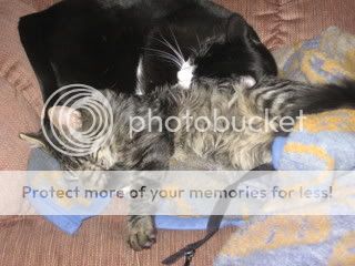 IMG_0979.jpg