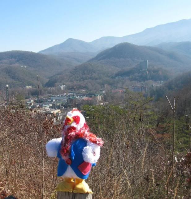 Gatlinburg_edited.jpg