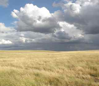 Grasslands.jpg