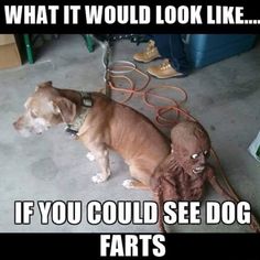 2465a2d7eab5f1729de0f894ee026f4d.jpg