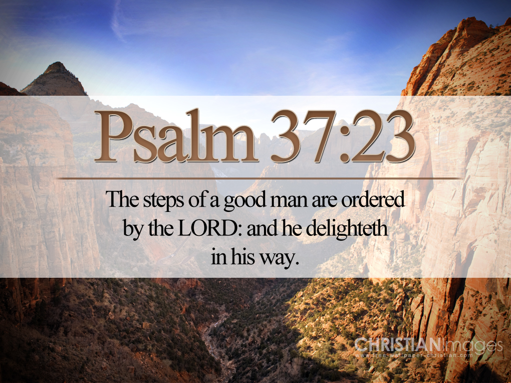 Psalm-37-23.jpg