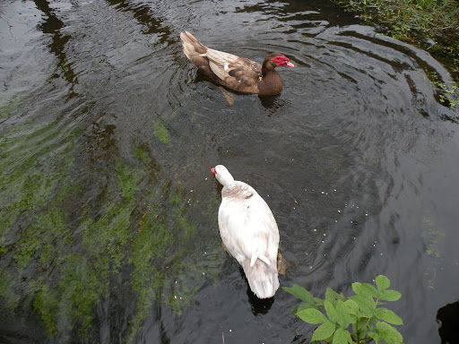 DSCN5448.JPG