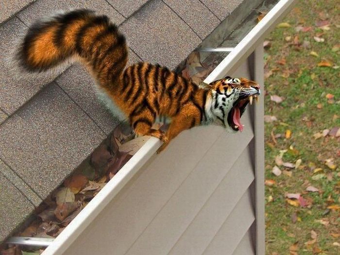 acid_picdump_25.jpg