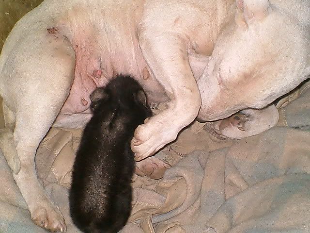 DSCF1547.jpg