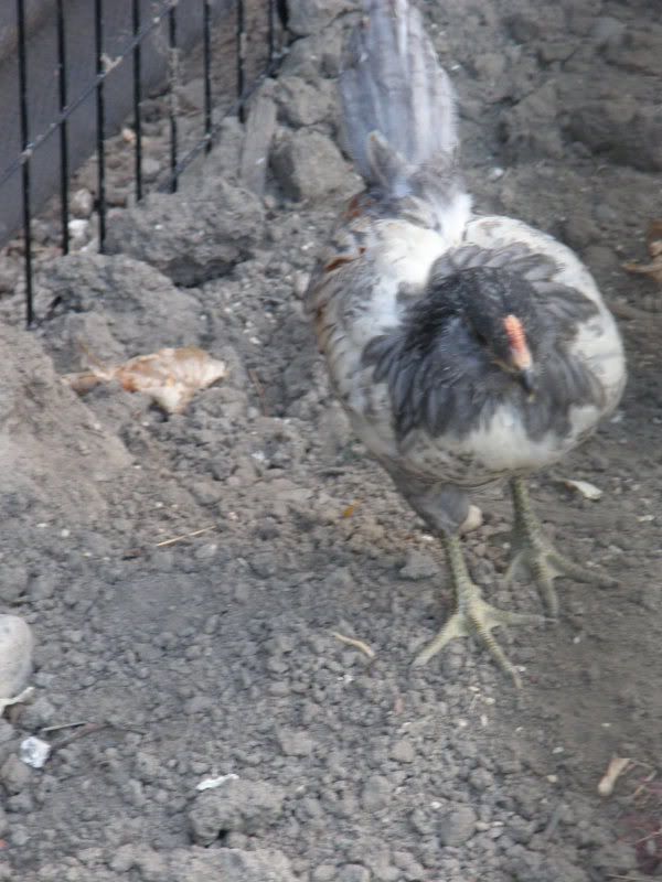 PA140039.jpg