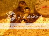 DSCN3119.jpg