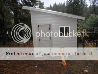 SDC10944.jpg