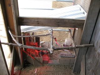 IMG_3359.jpg