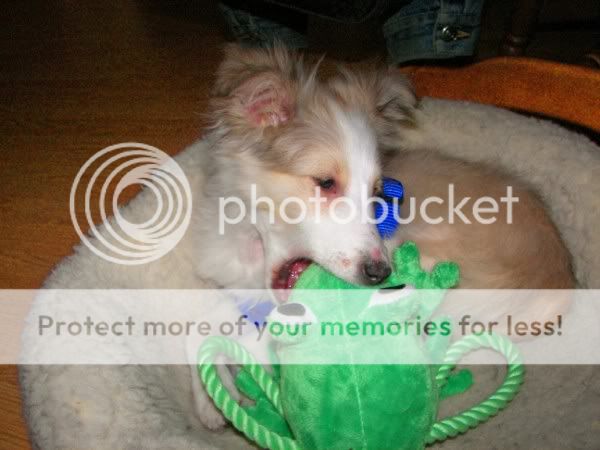 100_7629.jpg