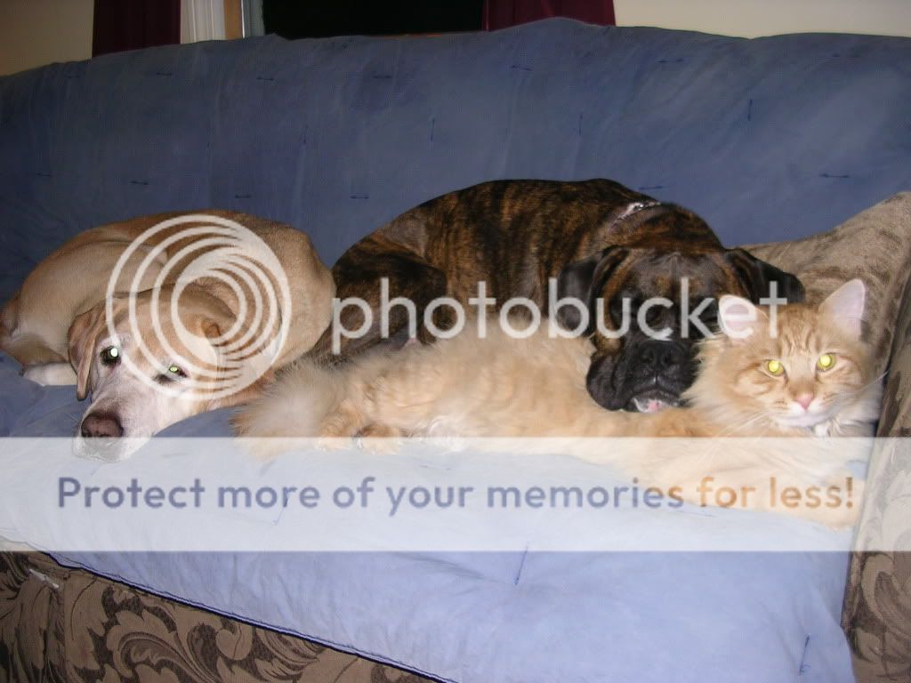 DSCN2912.jpg