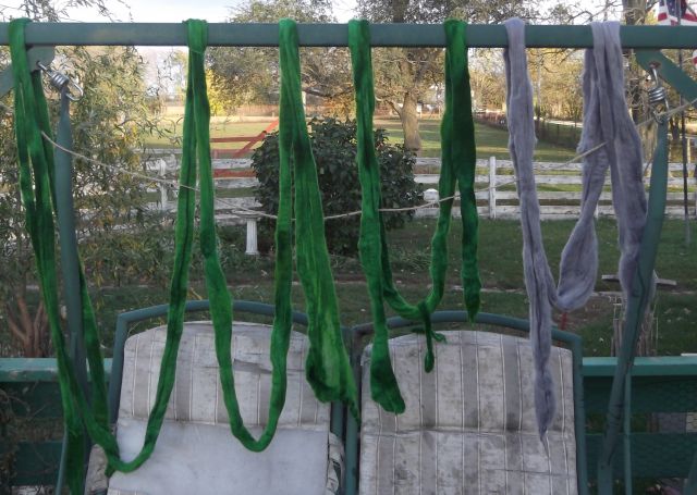 laoslytherinroving10202011.jpg