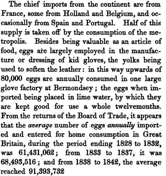 MaubEngEGG19thc.jpg