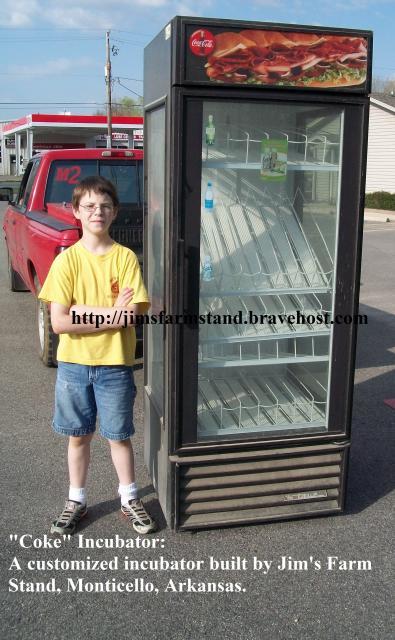 900x900px-LL-3a4cdf16_47716_coke_incubator_1.jpeg
