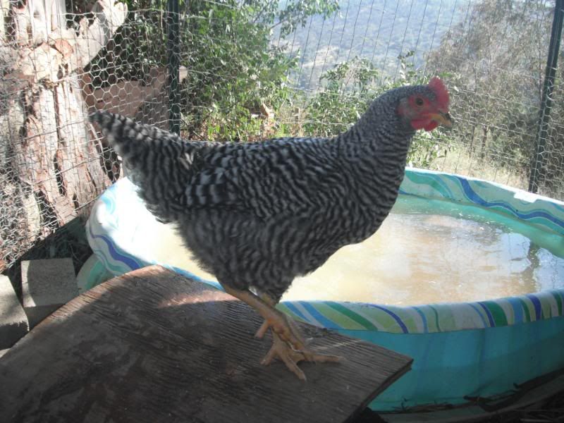 DSCF1248.jpg