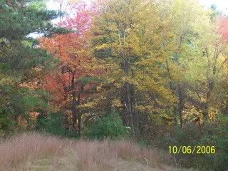 100_1938.jpg