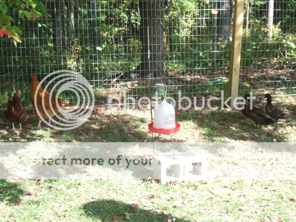 DSCF0279.jpg