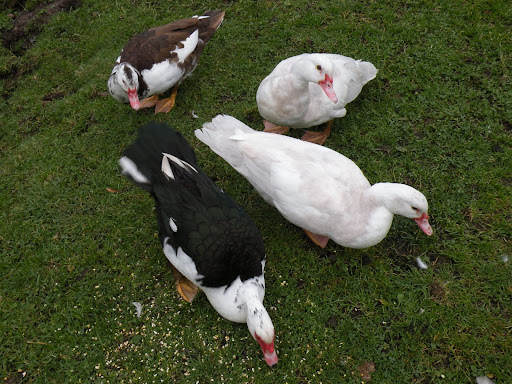 DSCN5427.JPG