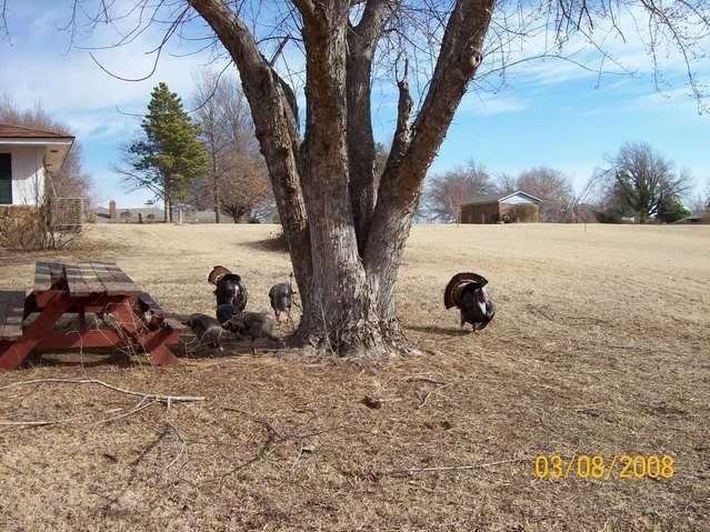 100_1568.jpg