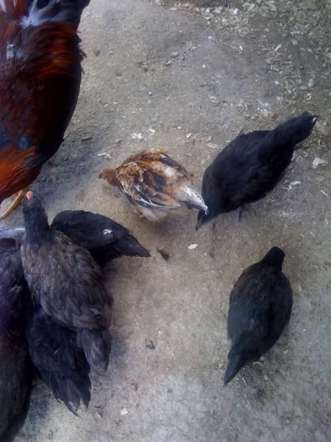 photo-191.jpg