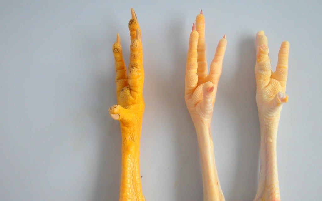 3chickenfeet-1024x639.jpg