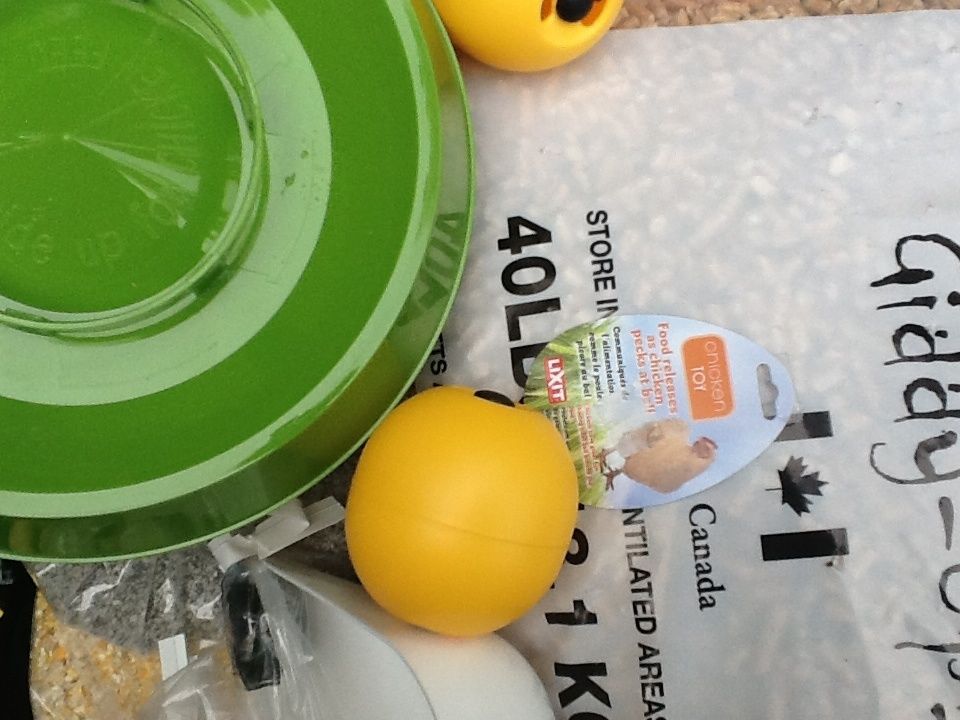 4c5500c9_image.jpeg