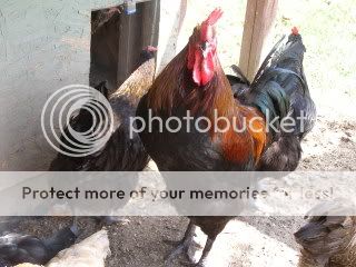 003-6.jpg