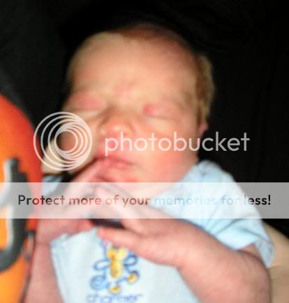 Tripp133-17-09.jpg