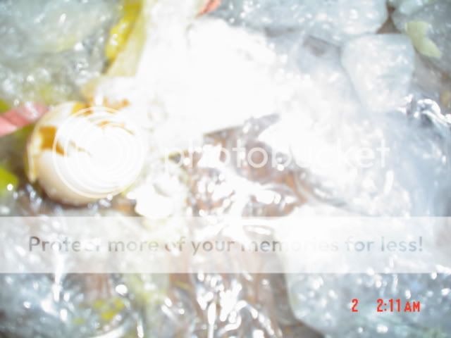 DSC06327.jpg