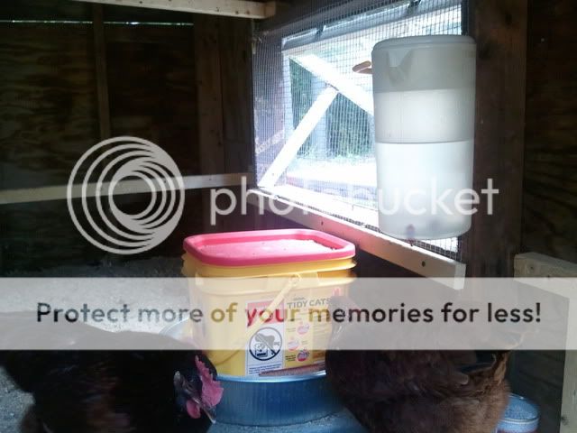 2011-08-01160609.jpg