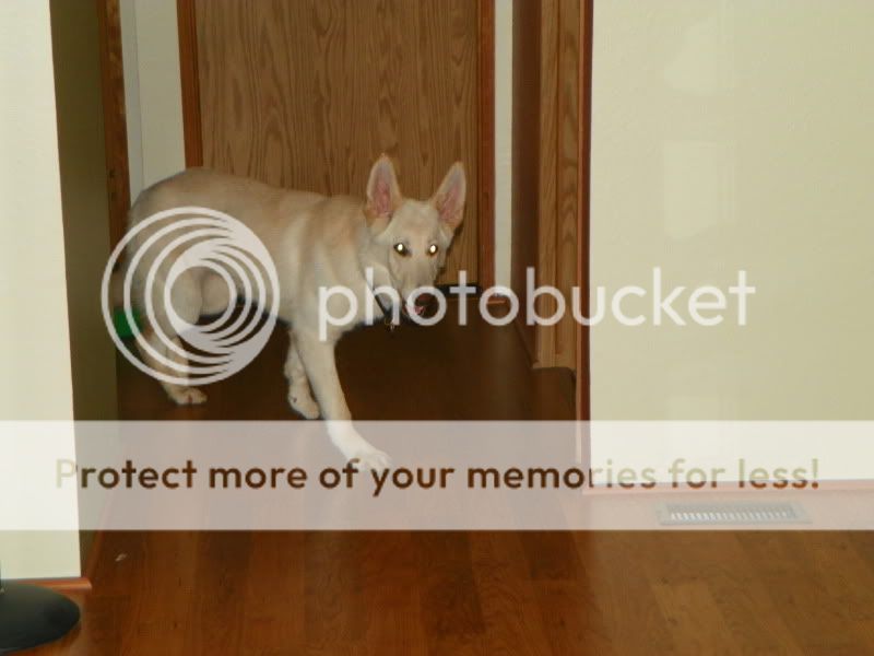 100_0521.jpg