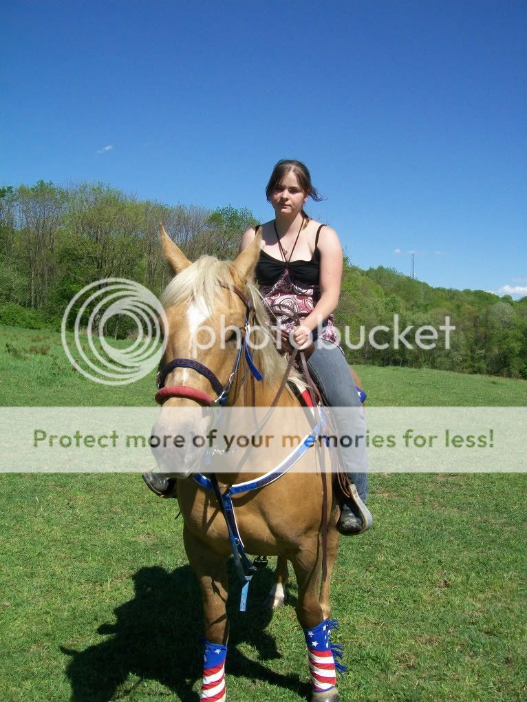 coopnhorses123-1.jpg