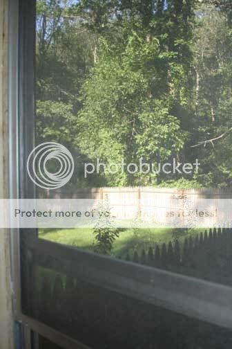 scenic-views.jpg