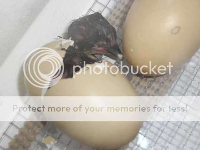 100_5847.jpg