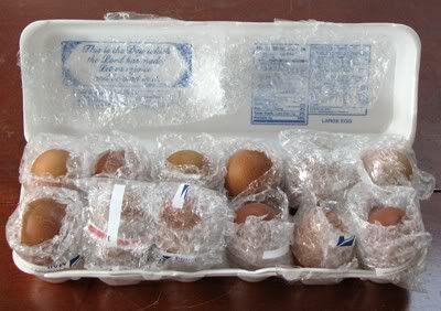 Welsummereggs4-01-09006.jpg