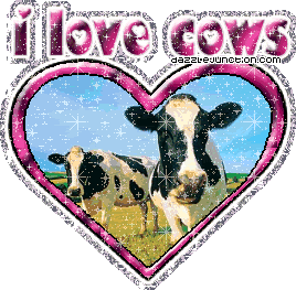 cows.gif