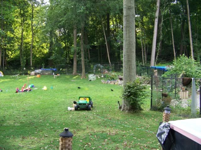 100_3619.jpg