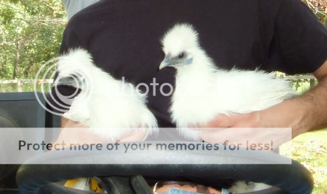 DSCF7584.jpg